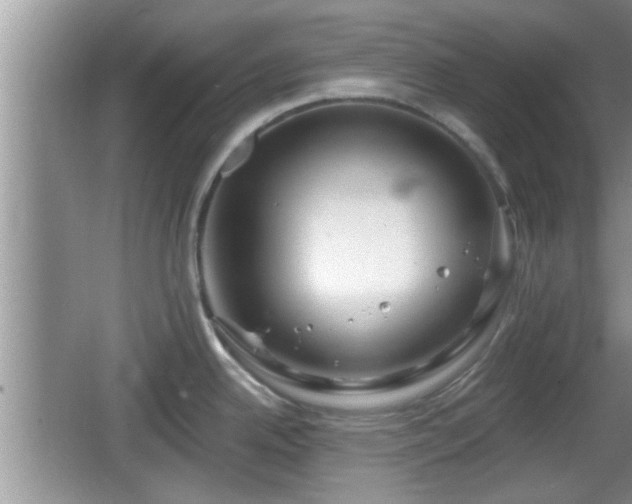 X0000064721342200602131214