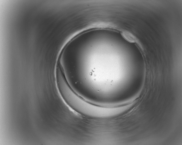 X0000064721343200602131214