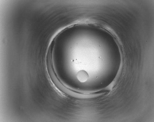 X0000064721344200602131214