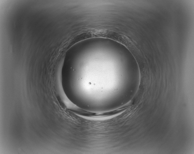 X0000064721345200602131214