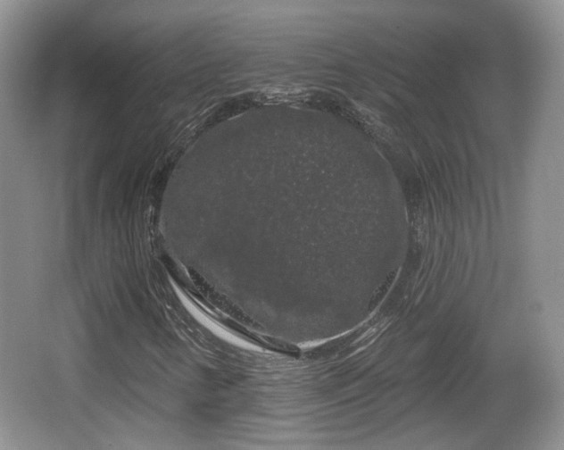 X0000064721346200602131214