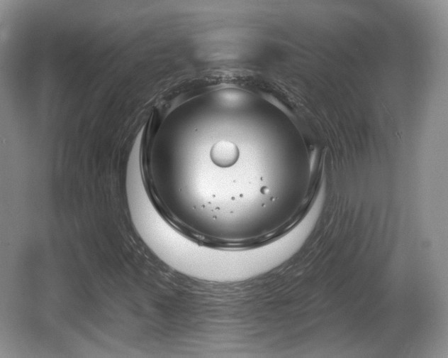 X0000064721347200602131214