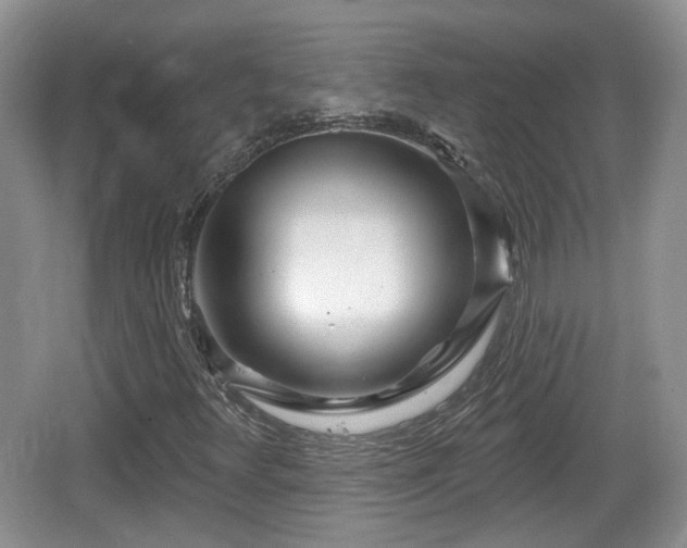 X0000064721348200602131214