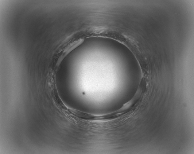 X0000064721349200602131214