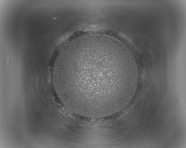 X0000064721350200602131214