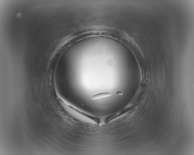 X0000064721352200602131213