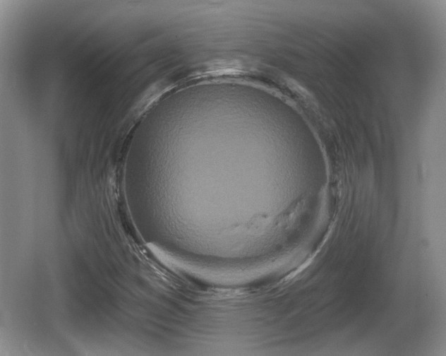 X0000064721353200602131213