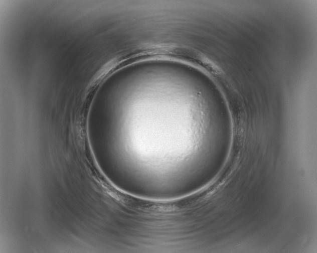 X0000064721354200602131213