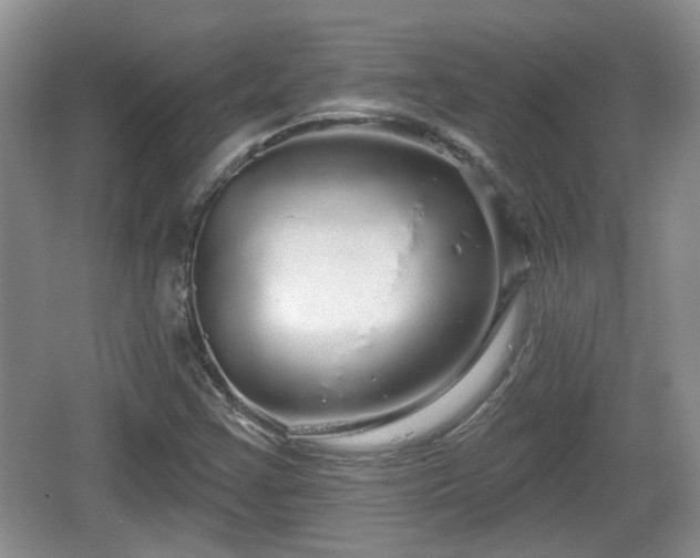 X0000064721355200602131213