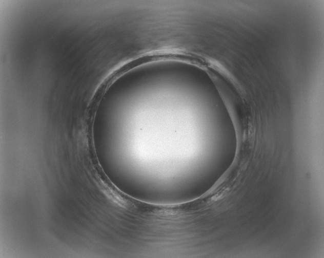 X0000064721356200602131213