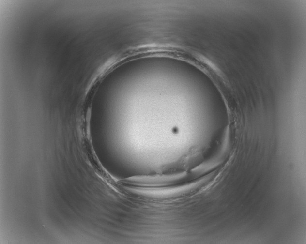 X0000064721357200602131213