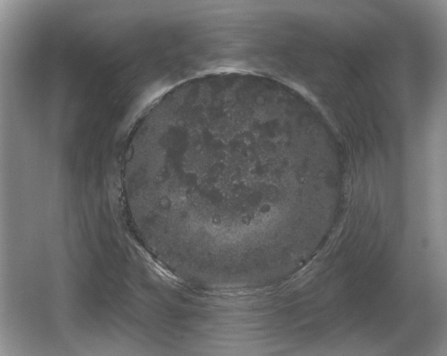 X0000064721359200602131213