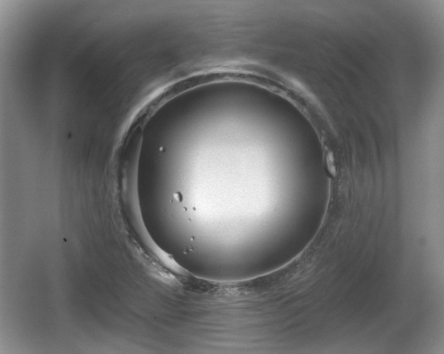 X0000064721360200602131213