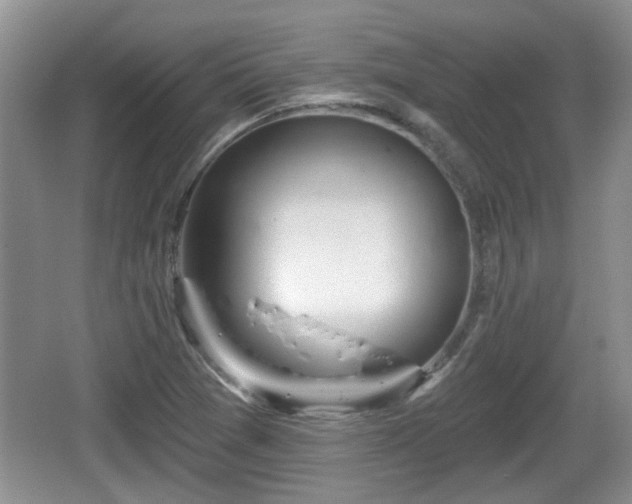 X0000064721361200602131213