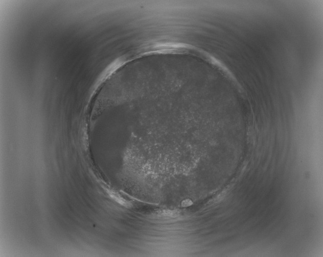 X0000064721362200602131213