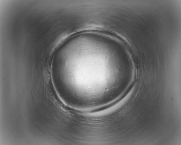 X0000064721363200602131213