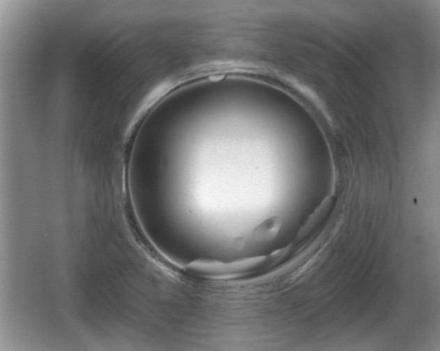 X0000064721365200602131213