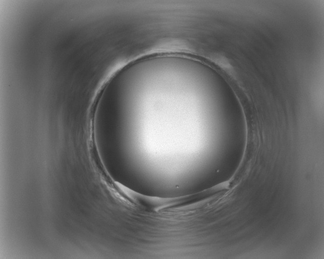 X0000064721366200602131213