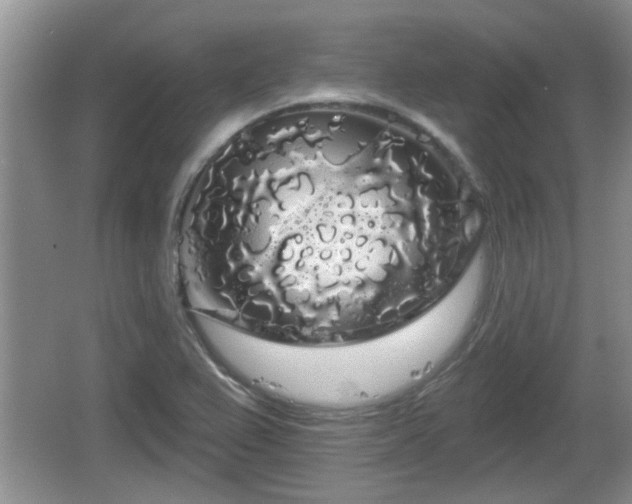 X0000064721367200602131213