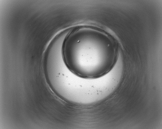 X0000064721368200602131213