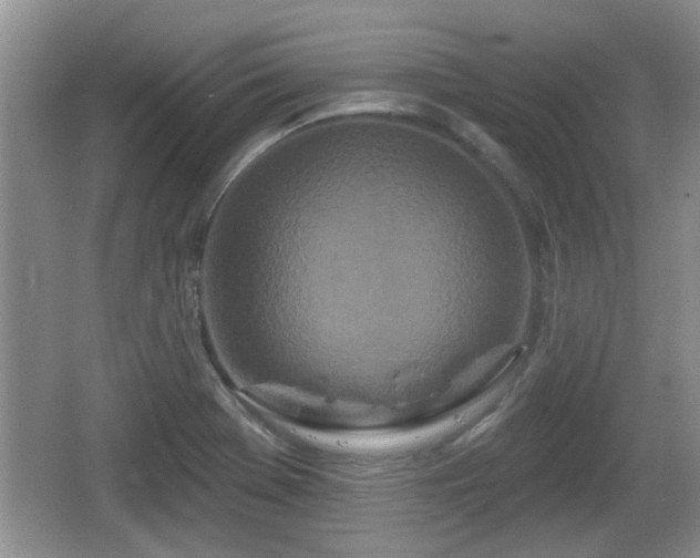 X0000064721369200602131213