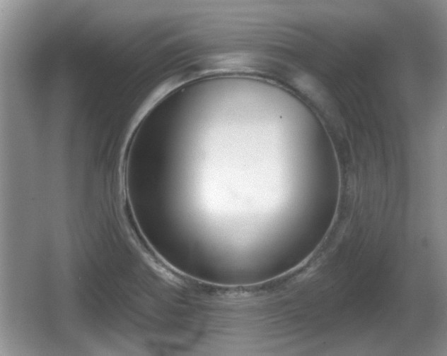 X0000064721370200602131213