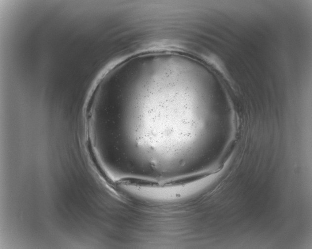 X0000064721371200602131213