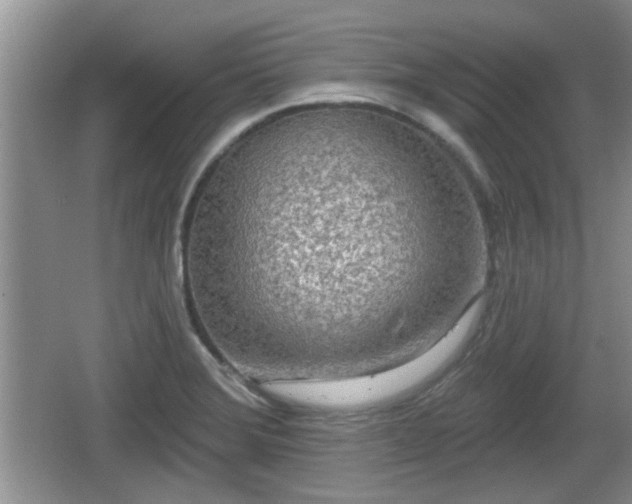 X0000064721372200602131213