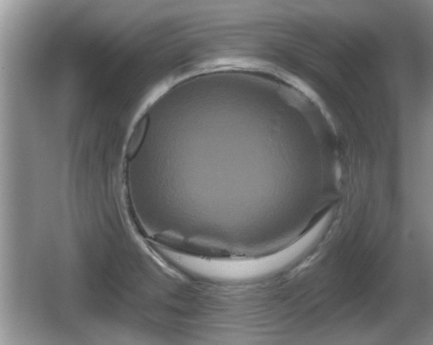 X0000064721373200602131213