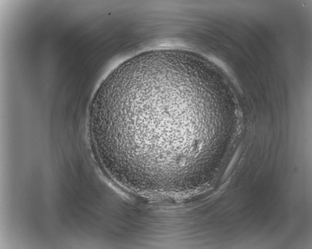 X0000064721374200602131213