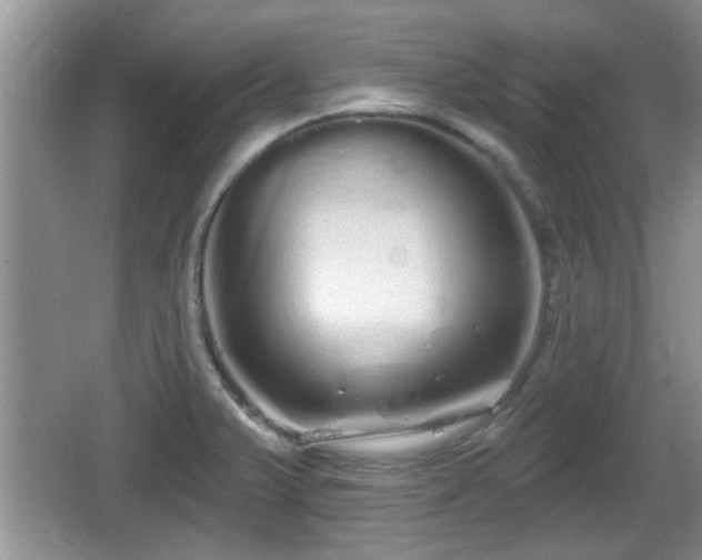 X0000064721375200602131213