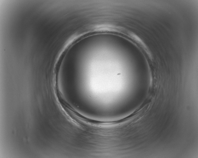 X0000064721376200602131213