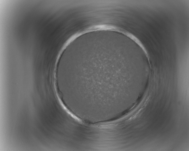 X0000064721381200602131213