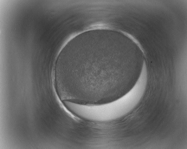 X0000064721383200602131213