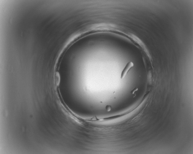 X0000064721384200602131213