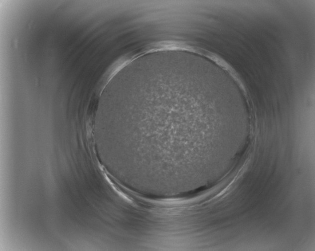 X0000064721385200602131213