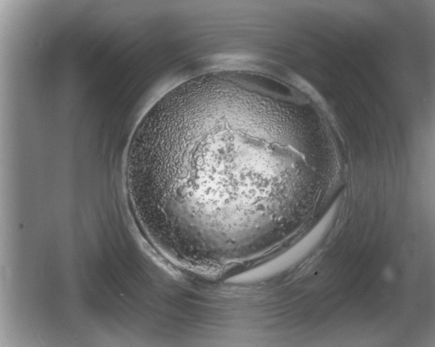 X0000064721386200602131213