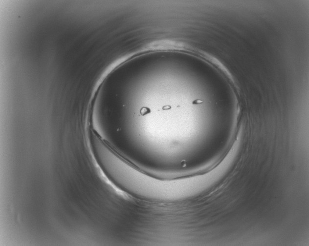 X0000064721387200602131213