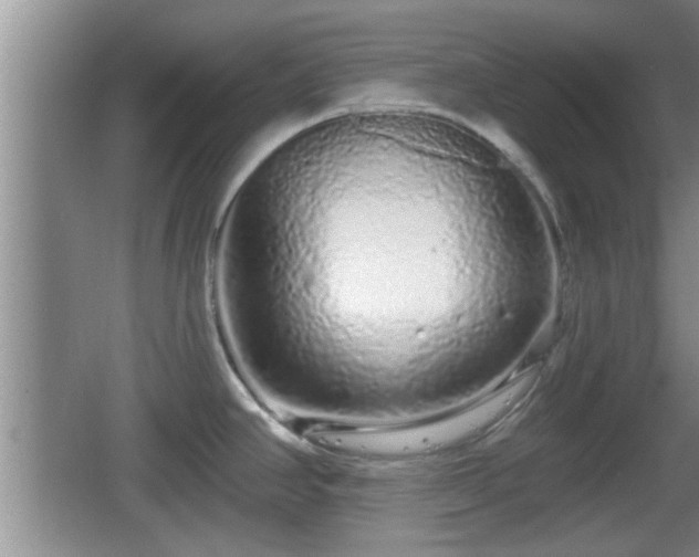 X0000064721390200602131213