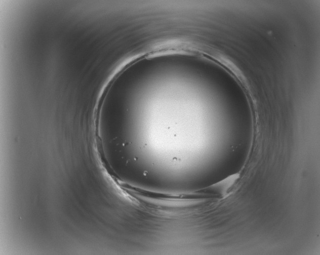 X0000064721392200602131213