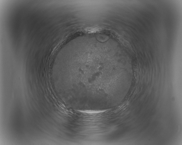 X0000064721393200602131212