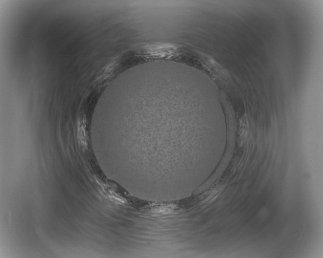 X0000064721394200602131212