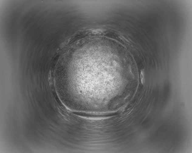 X0000064721395200602131212