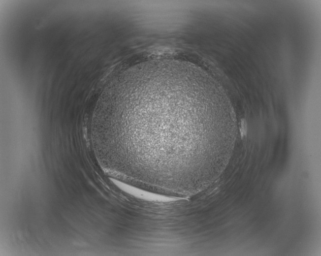 X0000064721396200602131212