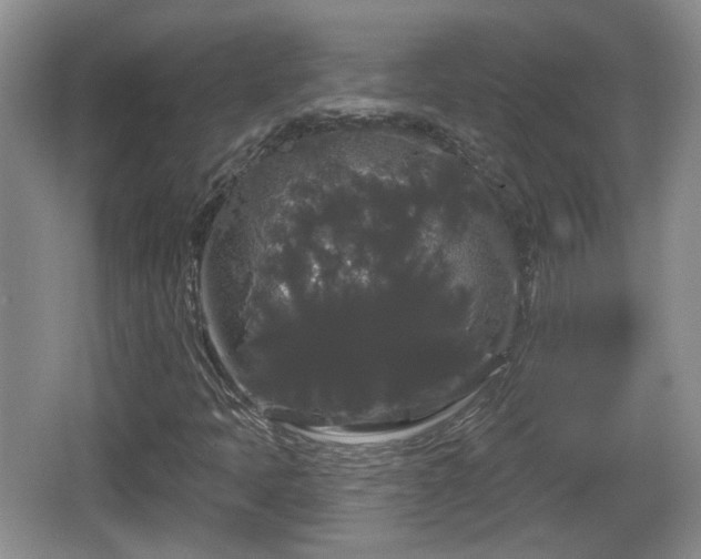 X0000064721397200602131212