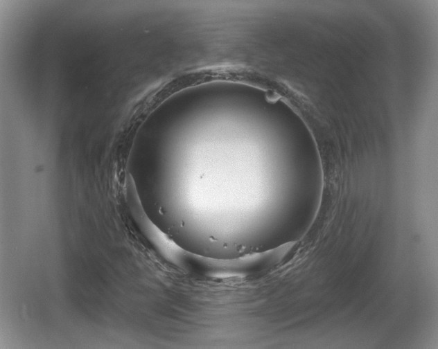 X0000064721398200602131212