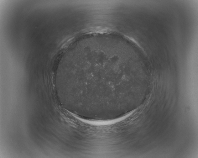 X0000064721399200602131212