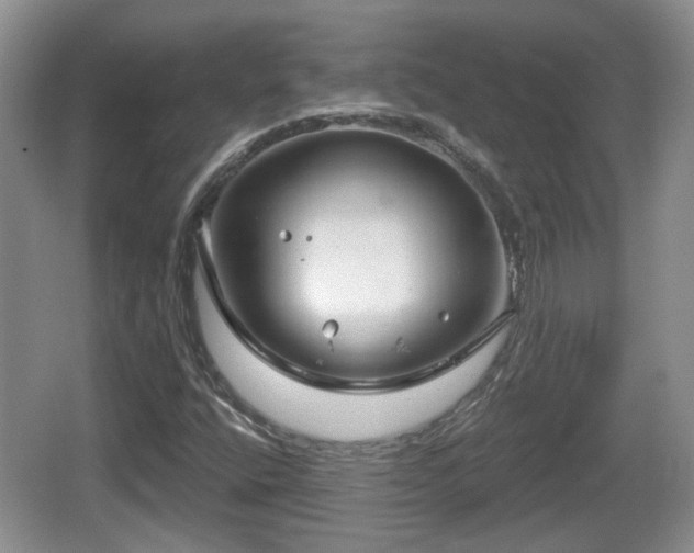 X0000064721400200602131212