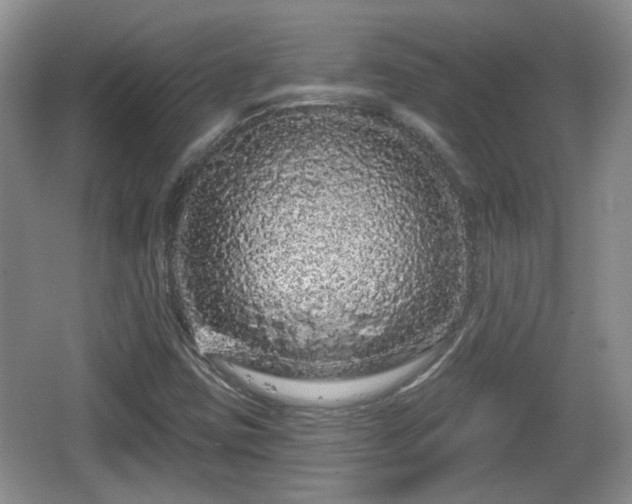 X0000064721403200602131212