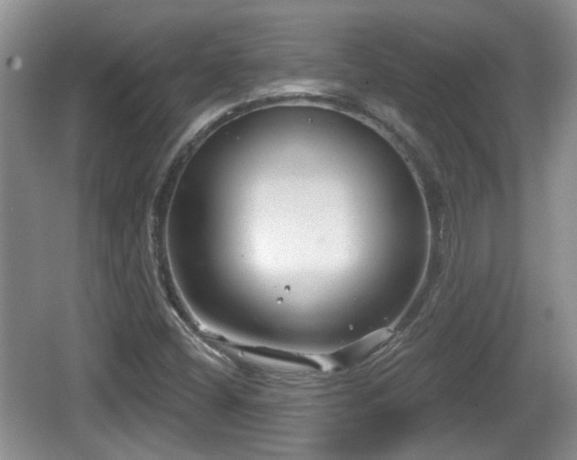 X0000064721404200602131212